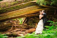 Andrea & Clarke After Wedding Session at the Ancient Forest ~ Prince George BC
