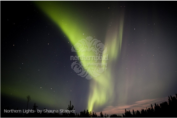 "Swirling Northern Lights" Prince George, BC by Shauna Stanyer