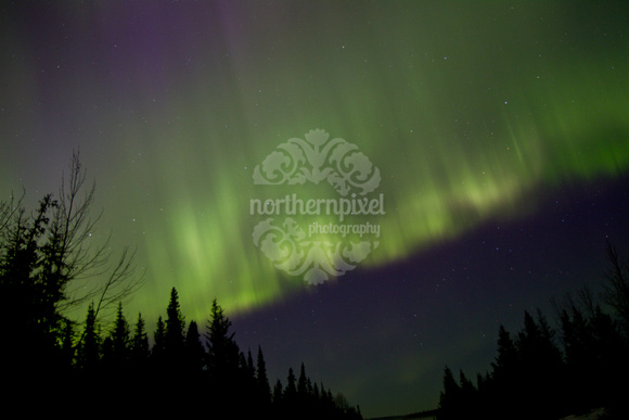 Northern Lights By Dan Stanyer